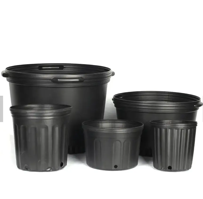 1 (4).png
