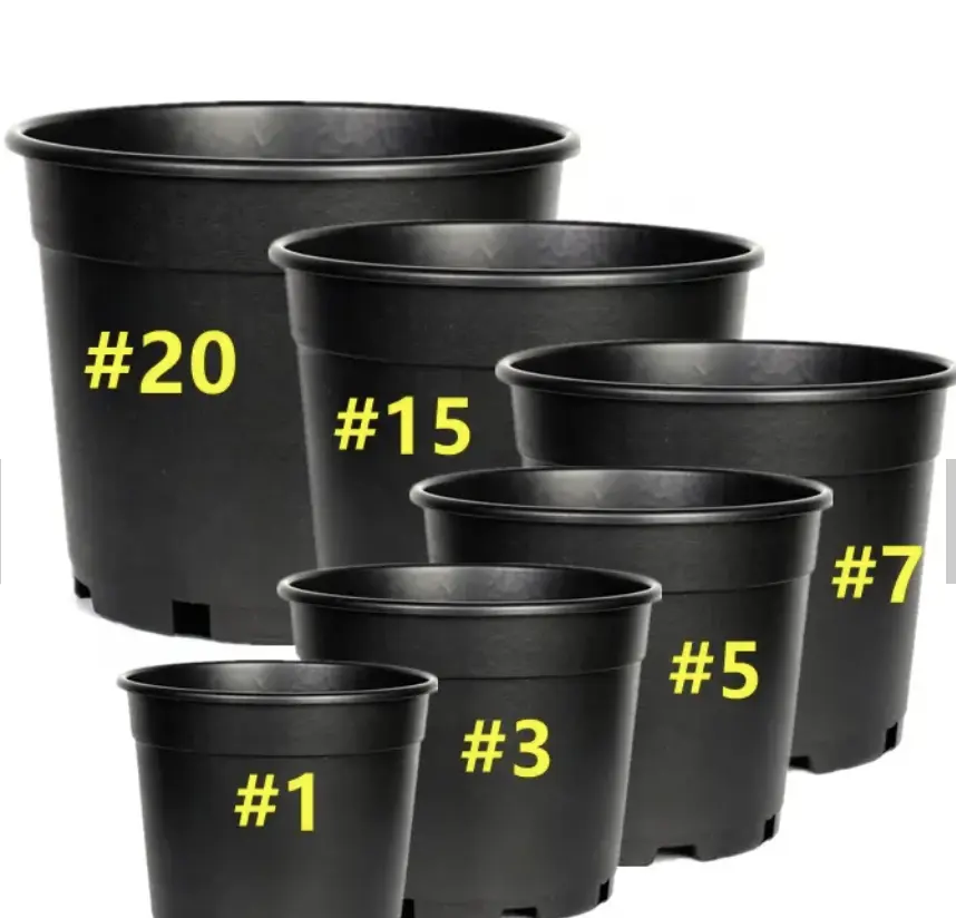 1 (3).png
